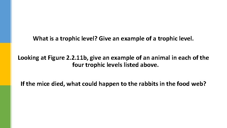 What is a trophic level? Give an example of a trophic level. Looking at