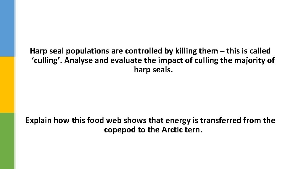 Harp seal populations are controlled by killing them – this is called ‘culling’. Analyse