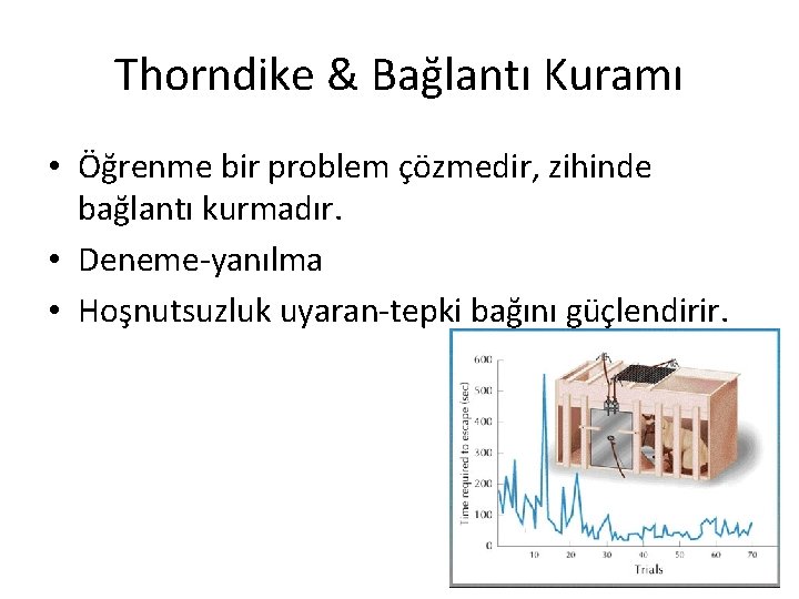 Thorndike & Bağlantı Kuramı • Öğrenme bir problem çözmedir, zihinde bağlantı kurmadır. • Deneme-yanılma