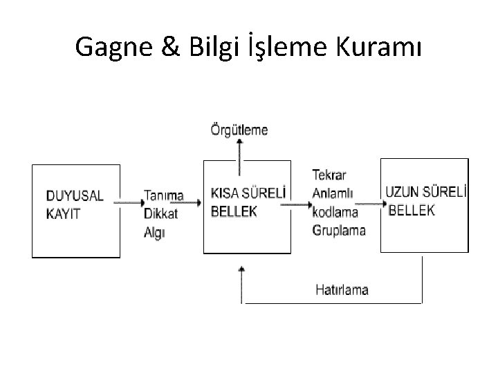 Gagne & Bilgi İşleme Kuramı 