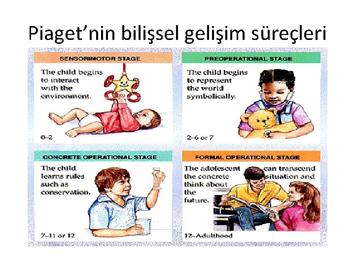 Piaget’nin bilişsel gelişim süreçleri 