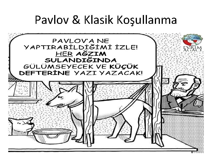 Pavlov & Klasik Koşullanma 