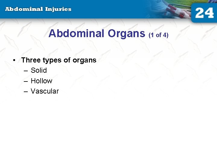 Abdominal Organs (1 of 4) • Three types of organs – Solid – Hollow