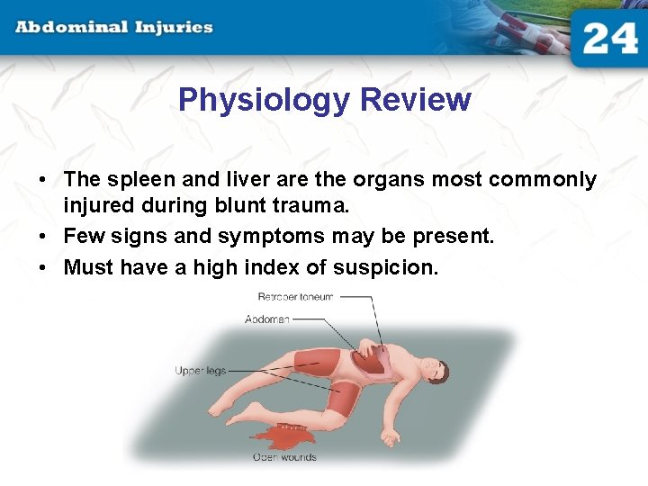 Physiology Review • The spleen and liver are the organs most commonly injured during