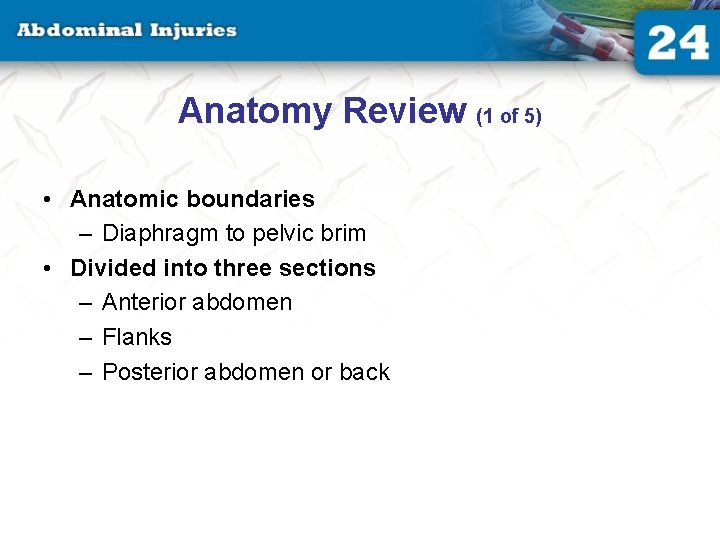 Anatomy Review (1 of 5) • Anatomic boundaries – Diaphragm to pelvic brim •