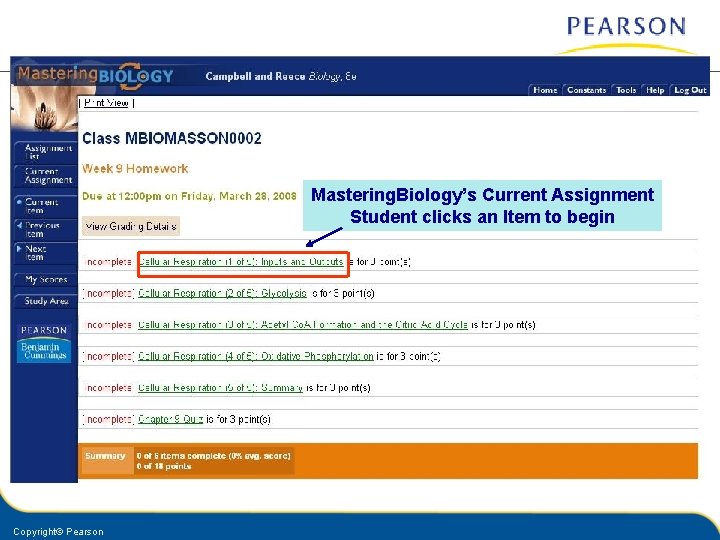 Mastering. Biology’s Current Assignment Student clicks an Item to begin Copyright© Pearson 