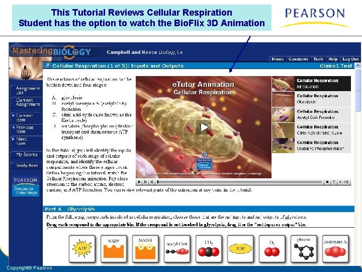 This Tutorial Reviews Cellular Respiration Student has the option to watch the Bio. Flix