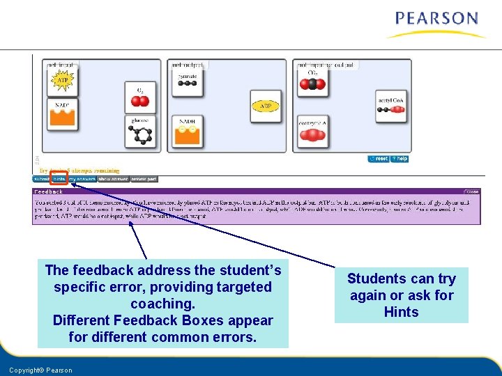 The feedback address the student’s specific error, providing targeted coaching. Different Feedback Boxes appear