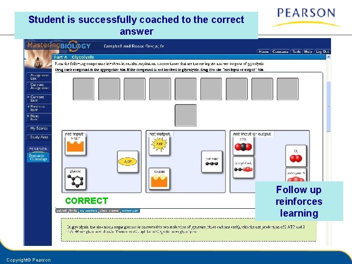 Student is successfully coached to the correct answer CORRECT Copyright© Pearson Follow up reinforces