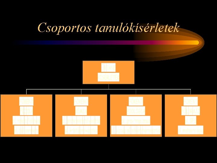Csoportos tanulókísérletek 