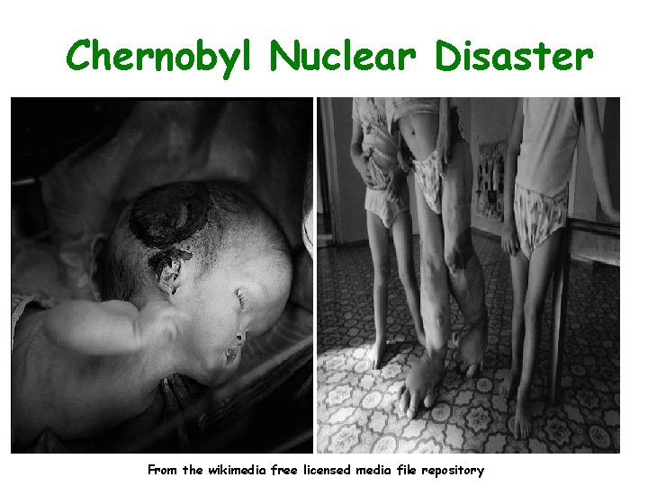 Chernobyl Nuclear Disaster From the wikimedia free licensed media file repository 
