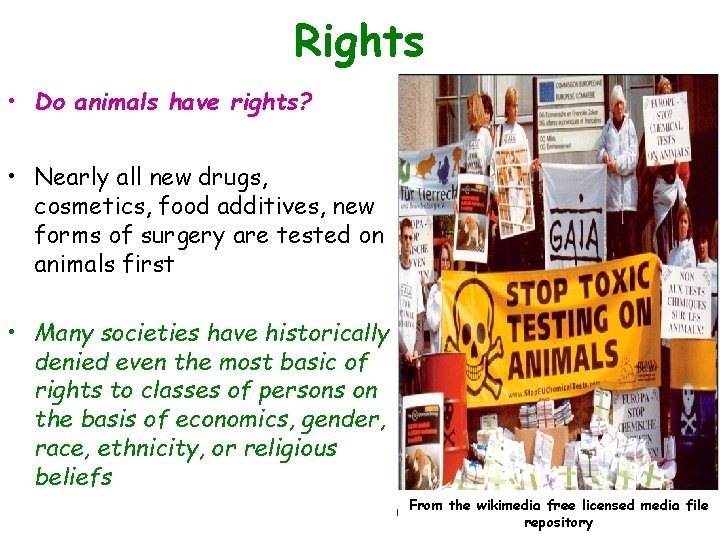 Rights • Do animals have rights? • Nearly all new drugs, cosmetics, food additives,