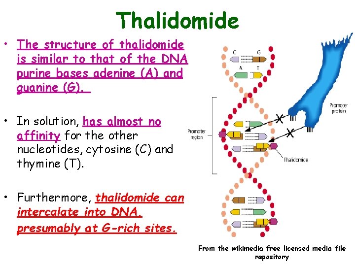 Thalidomide • The structure of thalidomide is similar to that of the DNA purine