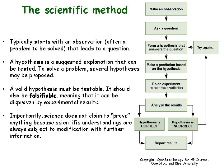 The scientific method • Typically starts with an observation (often a problem to be