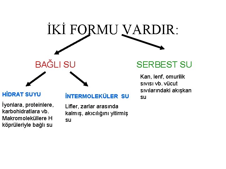 İKİ FORMU VARDIR: BAĞLI SU HİDRAT SUYU İNTERMOLEKÜLER SU İyonlara, proteinlere, karbohidratlara vb. Makromoleküllere