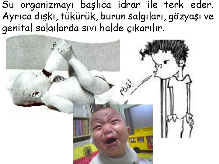 Su organizmayı başlıca idrar ile terk eder. Ayrıca dışkı, tükürük, burun salgıları, gözyaşı ve