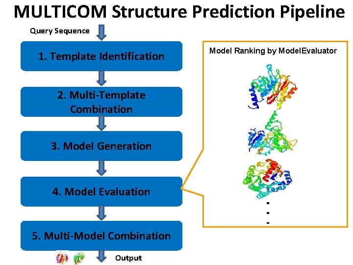 MULTICOM A Combination Pipeline for Protein Structure Prediction