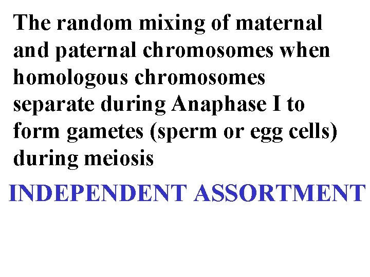 The random mixing of maternal and paternal chromosomes when homologous chromosomes separate during Anaphase