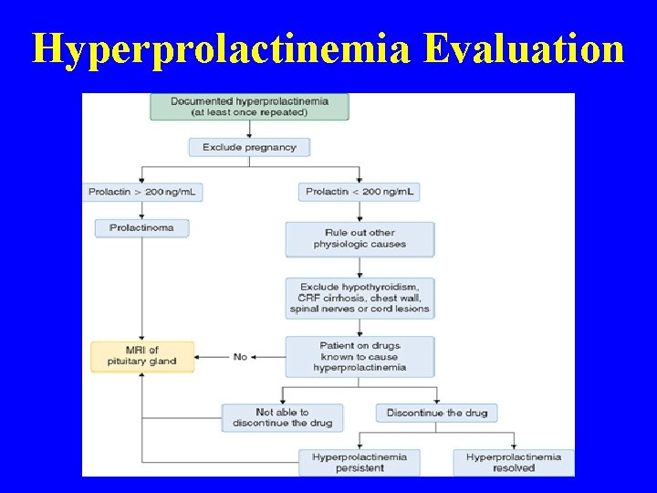 Hyperprolactinemia Evaluation 