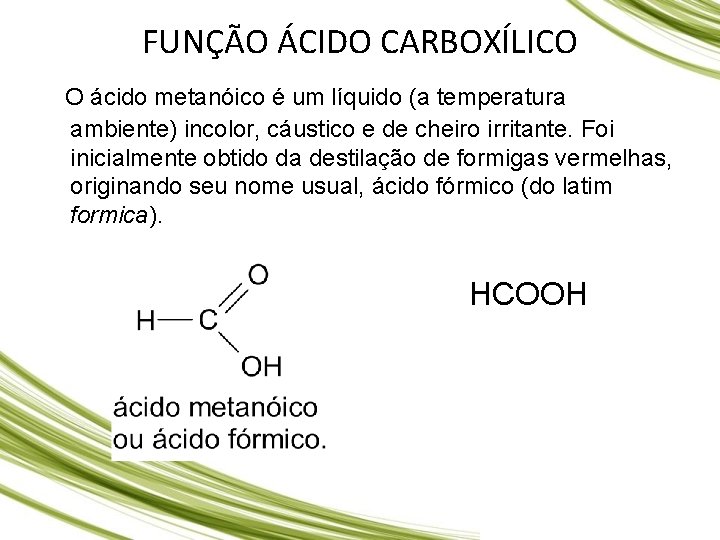 FUNÇÃO ÁCIDO CARBOXÍLICO O ácido metanóico é um líquido (a temperatura ambiente) incolor, cáustico