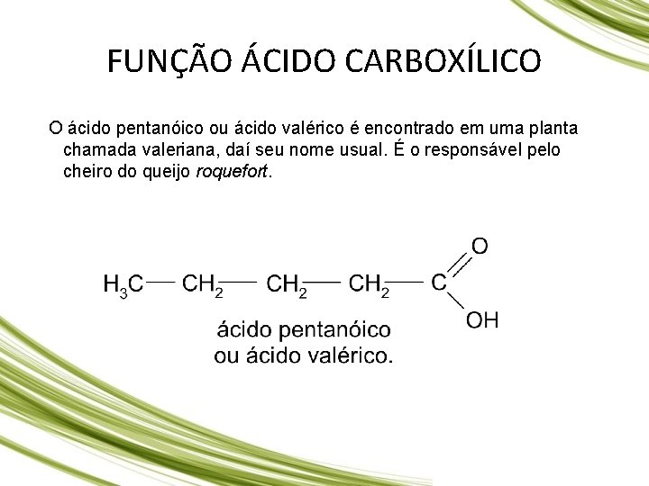 FUNÇÃO ÁCIDO CARBOXÍLICO O ácido pentanóico ou ácido valérico é encontrado em uma planta