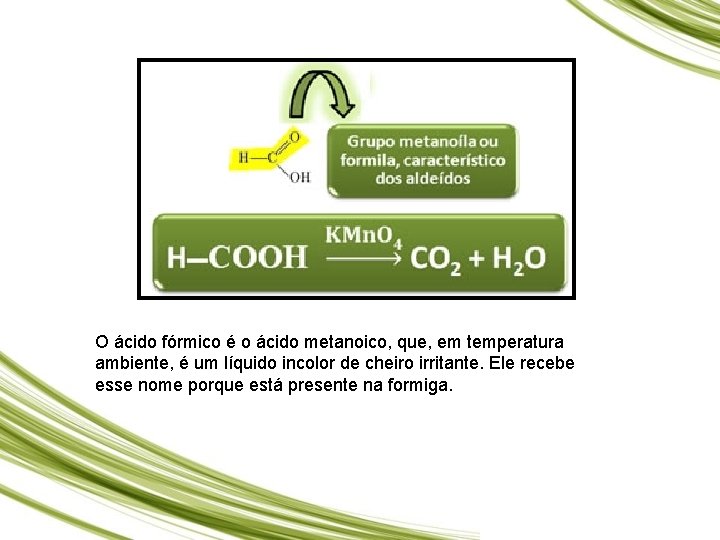 Ácidos carboxílicos O ácido fórmico é o ácido metanoico, que, em temperatura ambiente, é