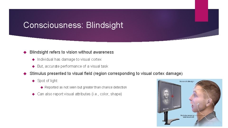 Consciousness: Blindsight refers to vision without awareness Individual has damage to visual cortex But,