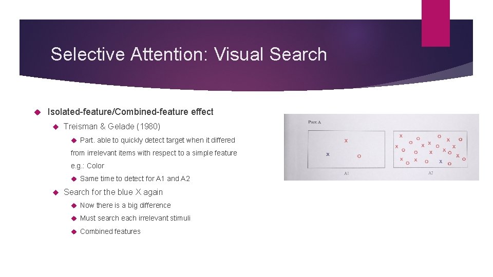 Selective Attention: Visual Search Isolated-feature/Combined-feature effect Treisman & Gelade (1980) Part. able to quickly