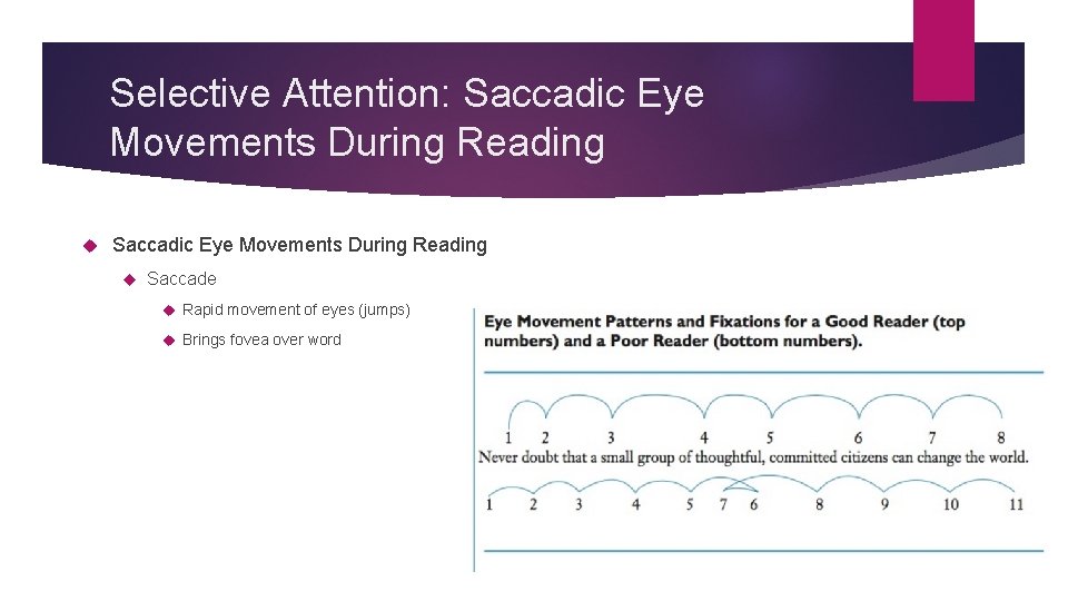 Selective Attention: Saccadic Eye Movements During Reading Saccade Rapid movement of eyes (jumps) Brings