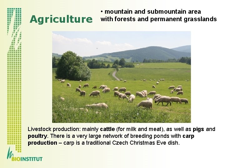 Agriculture • mountain and submountain area with forests and permanent grasslands Livestock production: mainly