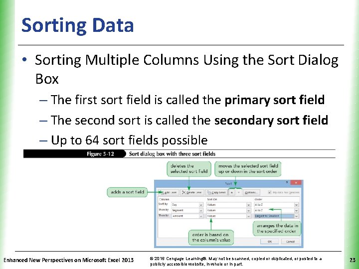 Sorting Data XP • Sorting Multiple Columns Using the Sort Dialog Box – The