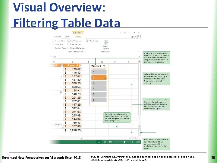 Visual Overview: Filtering Table Data Enhanced New Perspectives on Microsoft Excel 2013 © 2016