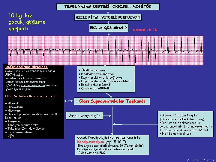 TEMEL YAŞAM DESTEĞİ, OKSİJEN, MONİTÖR 10 kg, kız çocuk, göğüste çarpıntı HIZLI RİTM, YETERLİ