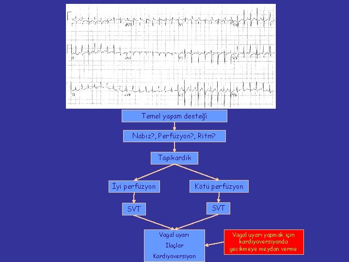 Temel yaşam desteği Nabız? , Perfüzyon? , Ritm? Taşikardik İyi perfüzyon Kötü perfüzyon SVT