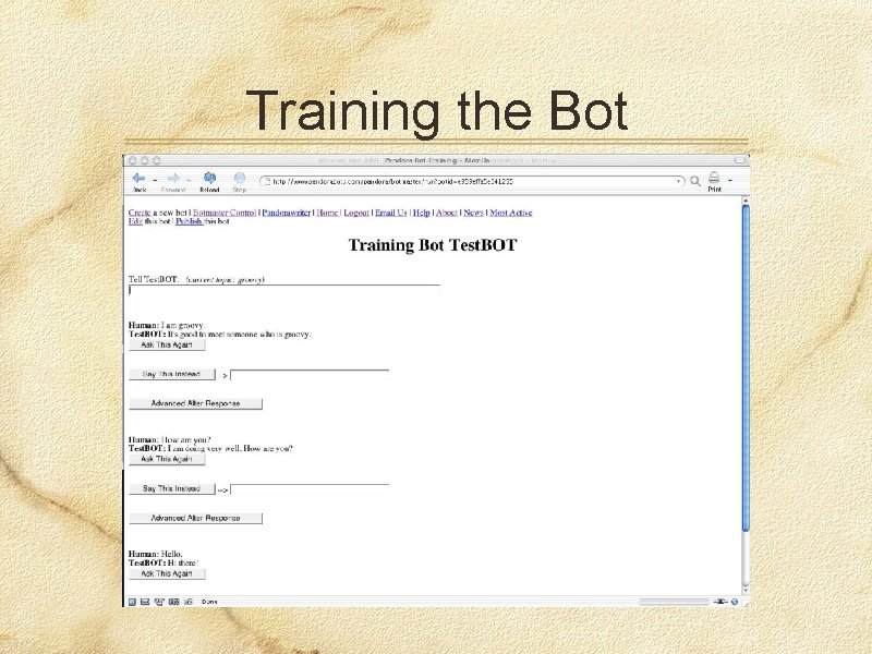 Training the Bot 
