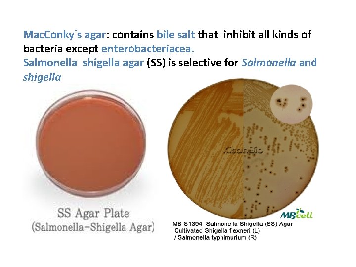 Mac. Conky᾽s agar: contains bile salt that inhibit all kinds of bacteria except enterobacteriacea.