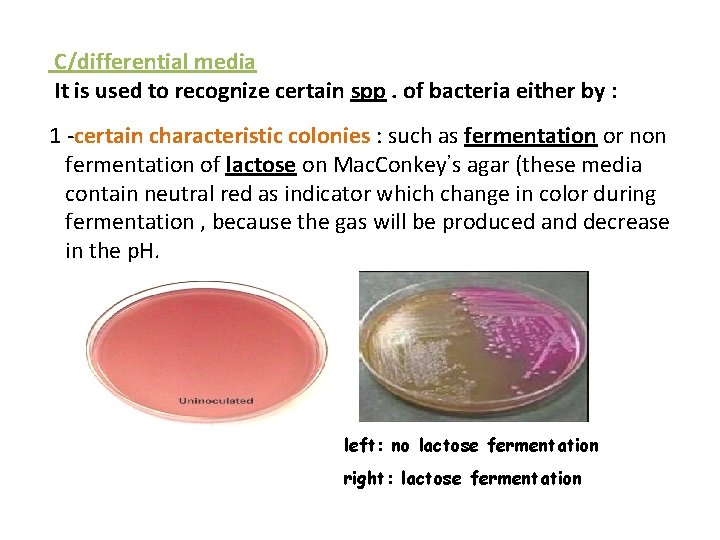 C/differential media It is used to recognize certain spp. of bacteria either by :