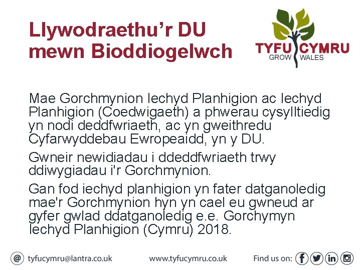 Llywodraethu’r DU mewn Bioddiogelwch Mae Gorchmynion Iechyd Planhigion ac Iechyd Planhigion (Coedwigaeth) a phwerau