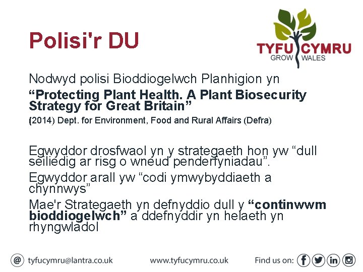 Polisi'r DU Nodwyd polisi Bioddiogelwch Planhigion yn “Protecting Plant Health. A Plant Biosecurity Strategy