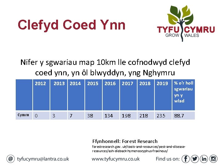 Clefyd Coed Ynn Nifer y sgwariau map 10 km lle cofnodwyd clefyd coed ynn,