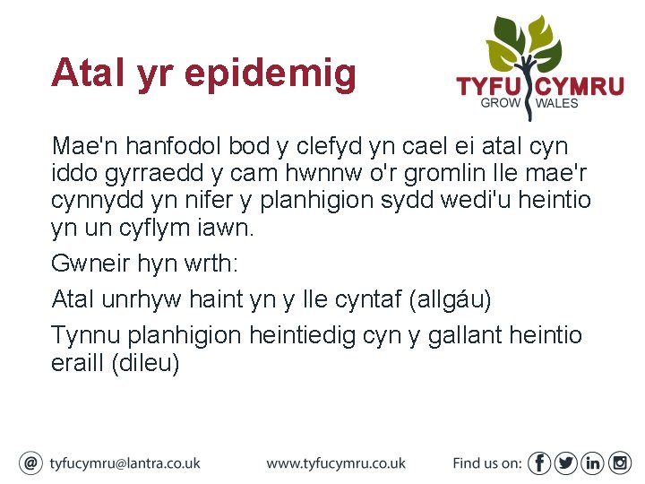 Atal yr epidemig Mae'n hanfodol bod y clefyd yn cael ei atal cyn iddo