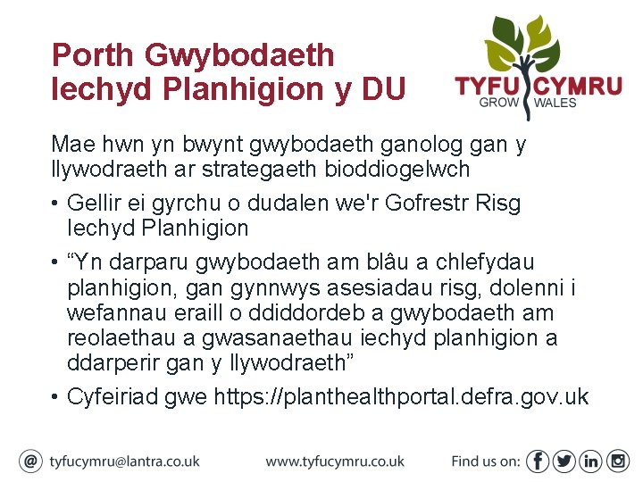 Porth Gwybodaeth Iechyd Planhigion y DU Mae hwn yn bwynt gwybodaeth ganolog gan y