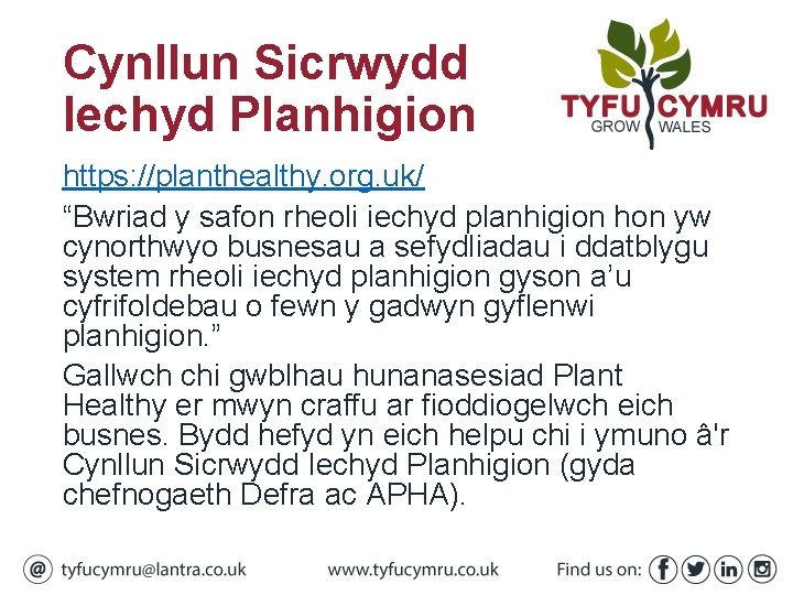 Cynllun Sicrwydd Iechyd Planhigion https: //planthealthy. org. uk/ “Bwriad y safon rheoli iechyd planhigion