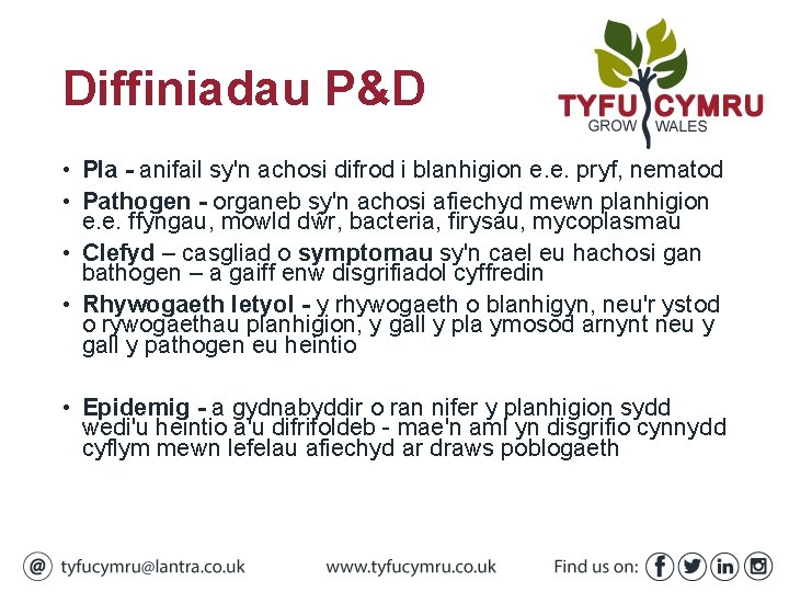 Diffiniadau P&D • Pla - anifail sy'n achosi difrod i blanhigion e. e. pryf,