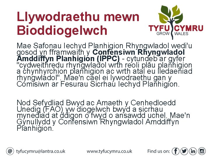 Llywodraethu mewn Bioddiogelwch Mae Safonau Iechyd Planhigion Rhyngwladol wedi'u gosod yn fframwaith y Confensiwn