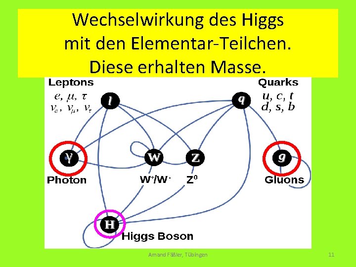 Wechselwirkung des Higgs mit den Elementar-Teilchen. Diese erhalten Masse. Amand Fäßler, Tübingen 11 