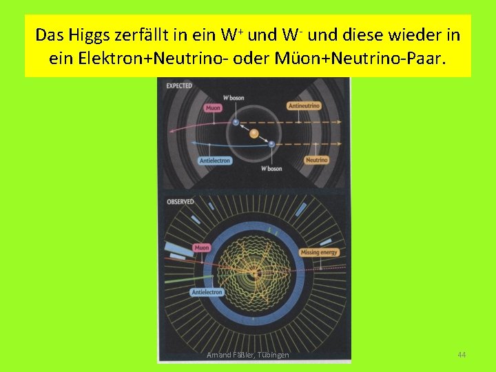 Das Higgs zerfällt in ein W+ und W- und diese wieder in ein Elektron+Neutrino-