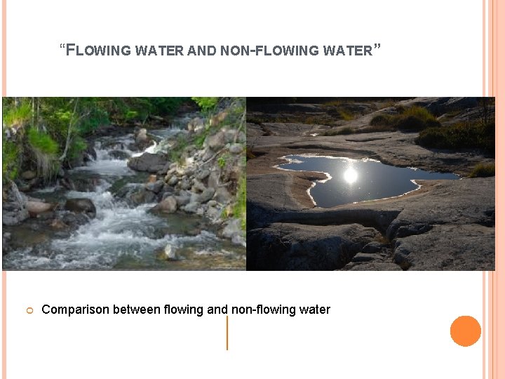 “FLOWING WATER AND NON-FLOWING WATER” Comparison between flowing and non-flowing water 