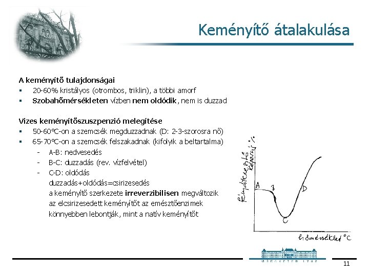 Keményítő átalakulása A keményítő tulajdonságai § 20 60% kristályos (otrombos, triklin), a többi amorf