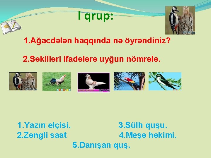 I qrup: 1. Ağacdələn haqqında nə öyrəndiniz? 2. Səkilləri ifadələrə uyğun nömrələ. 1. Yazın